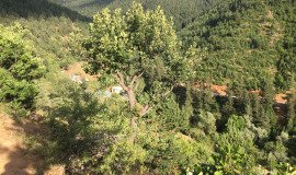 1_evreni-13