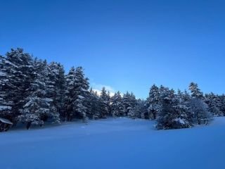 img-20260103-wa00025182941839618669513