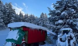 img-20260103-wa00001491625004355865350