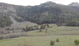 hatunoglu-1