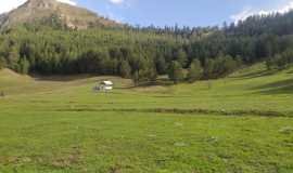 hatunoglu-2