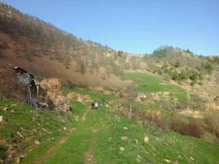 zirli-5