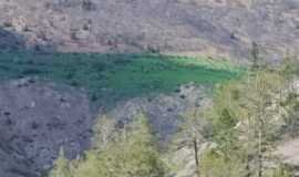 zirli-1