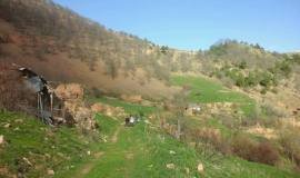 zirli-5